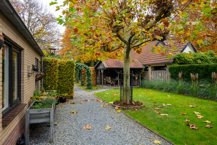 Photo 30 of Hakschaer 6