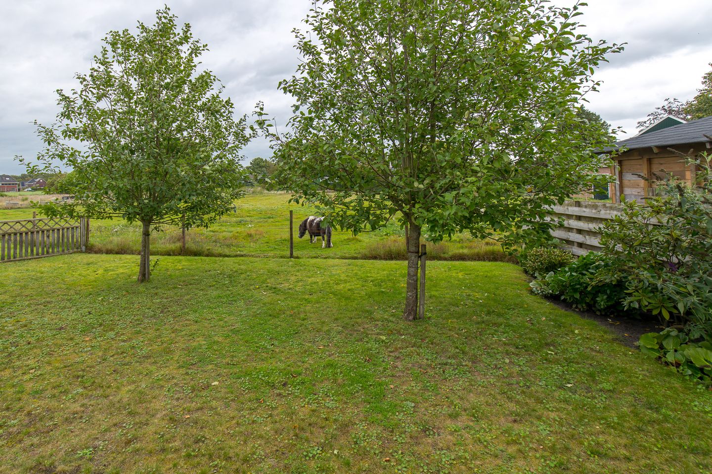 Foto 34 van Scheerturfstraat 18