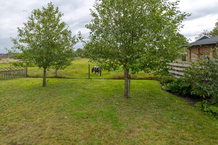 Foto 34 van Scheerturfstraat 18