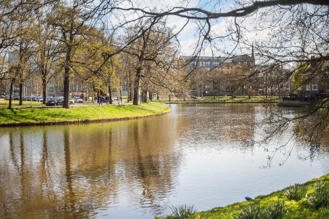 Photo 43 of Wolweverstraat 24