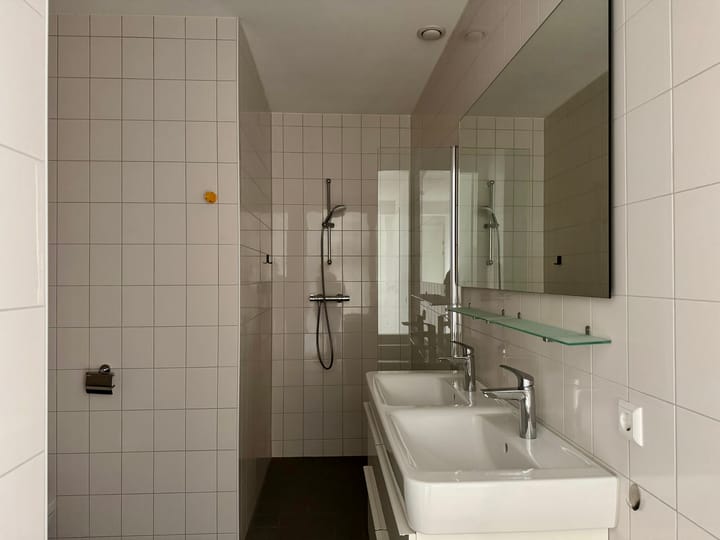 Foto 5 van Aalscholverpad 171