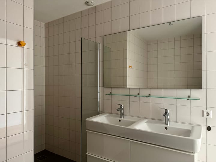 Foto 22 van Aalscholverpad 171