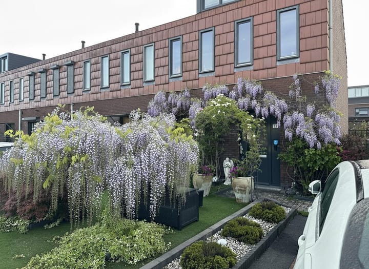 Foto 59 van Willem Hanegraaflaan 13