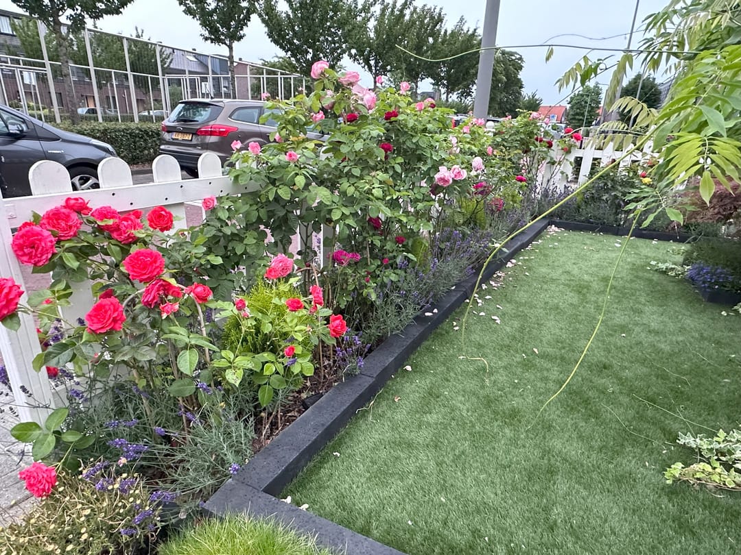 Foto 61 van Willem Hanegraaflaan 13