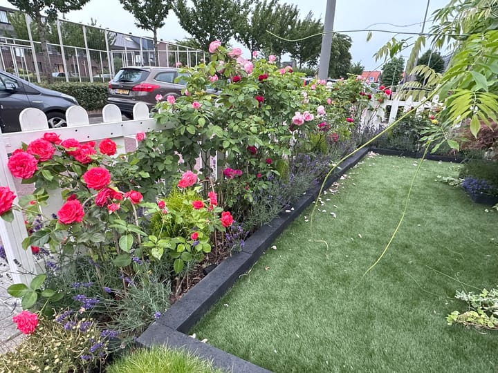 Foto 61 van Willem Hanegraaflaan 13