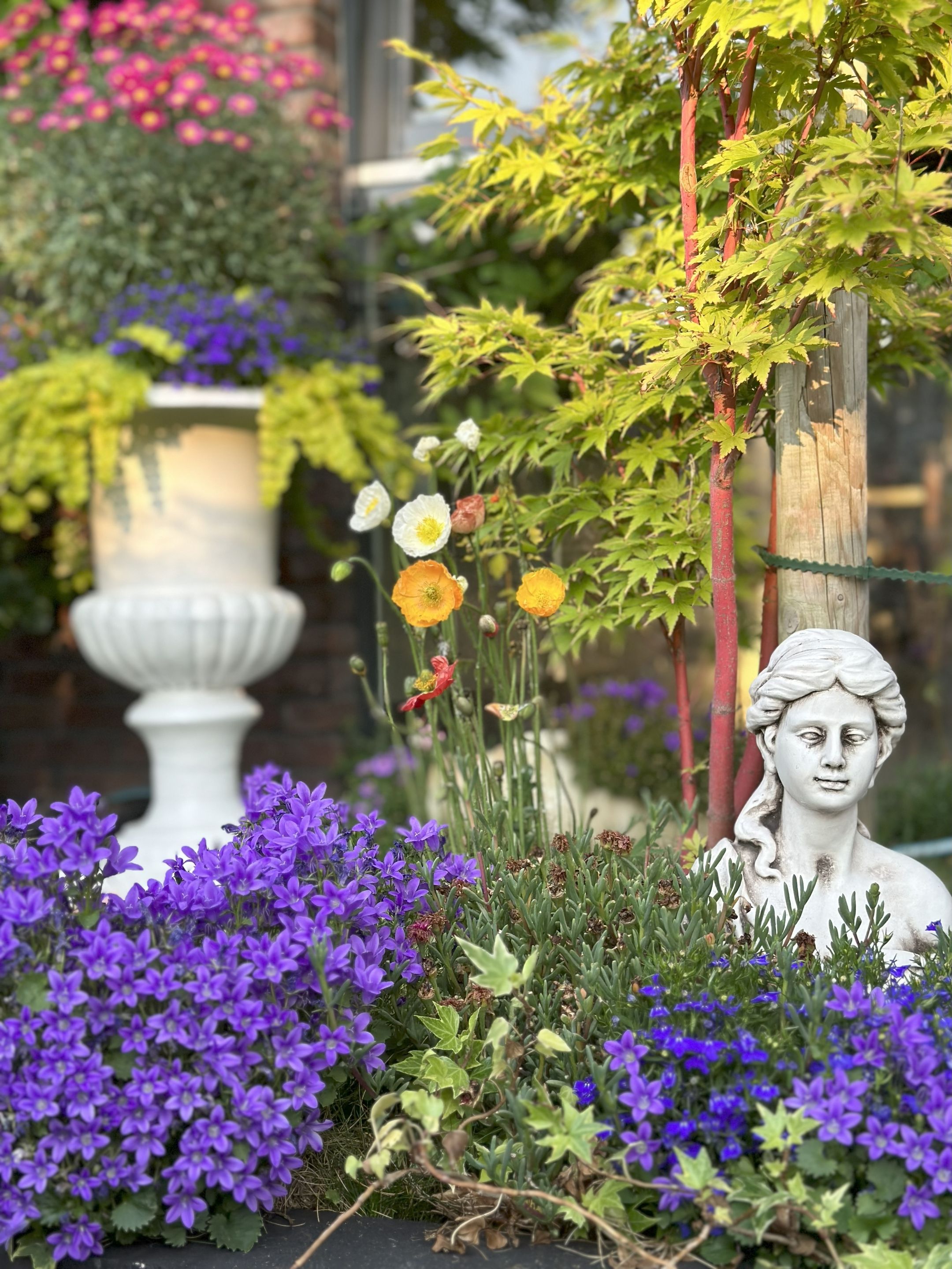 Foto 63 van Willem Hanegraaflaan 13