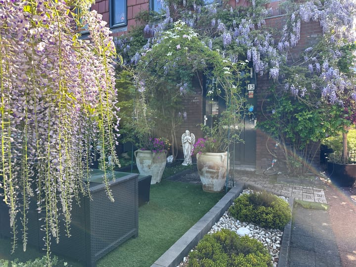 Foto 64 van Willem Hanegraaflaan 13