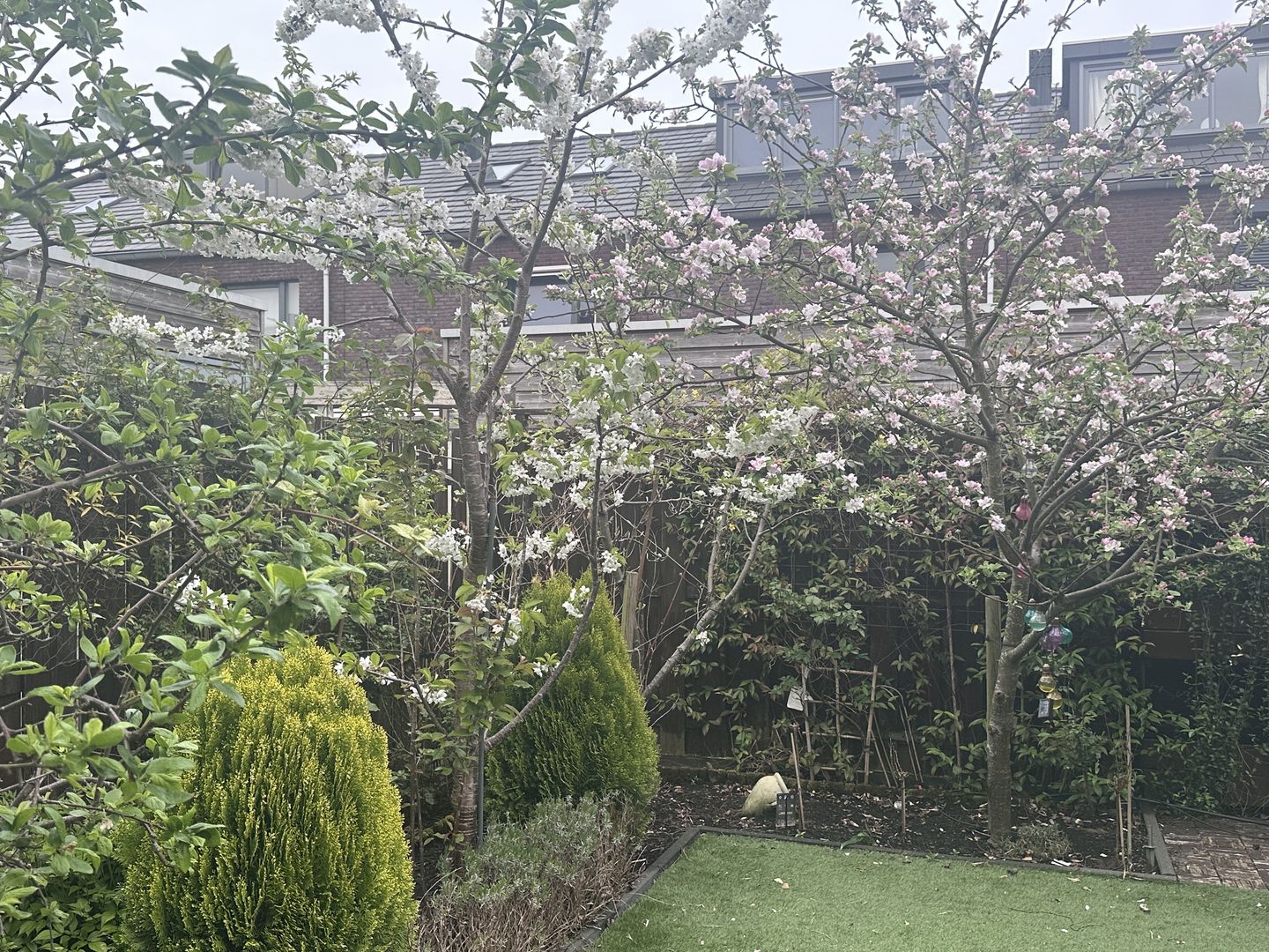 Foto 70 van Willem Hanegraaflaan 13