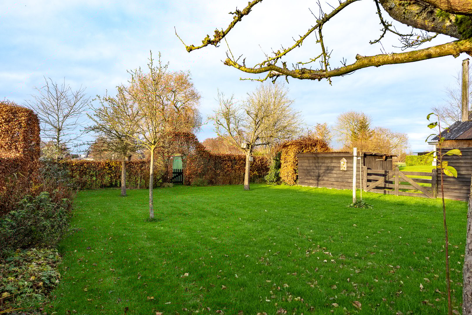 Foto 51 van Burgemeester Frieswijkweg 5