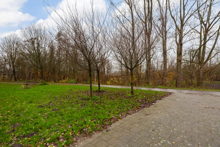 Foto 3 van Arie Salystraat 10