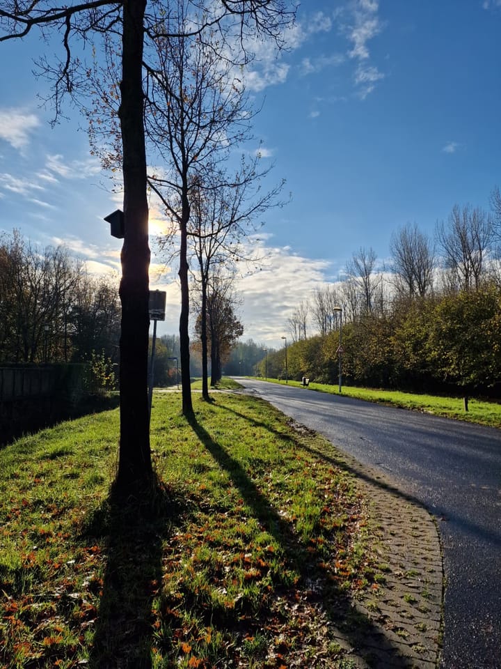 Foto 40 van Vierhuisterweg 80