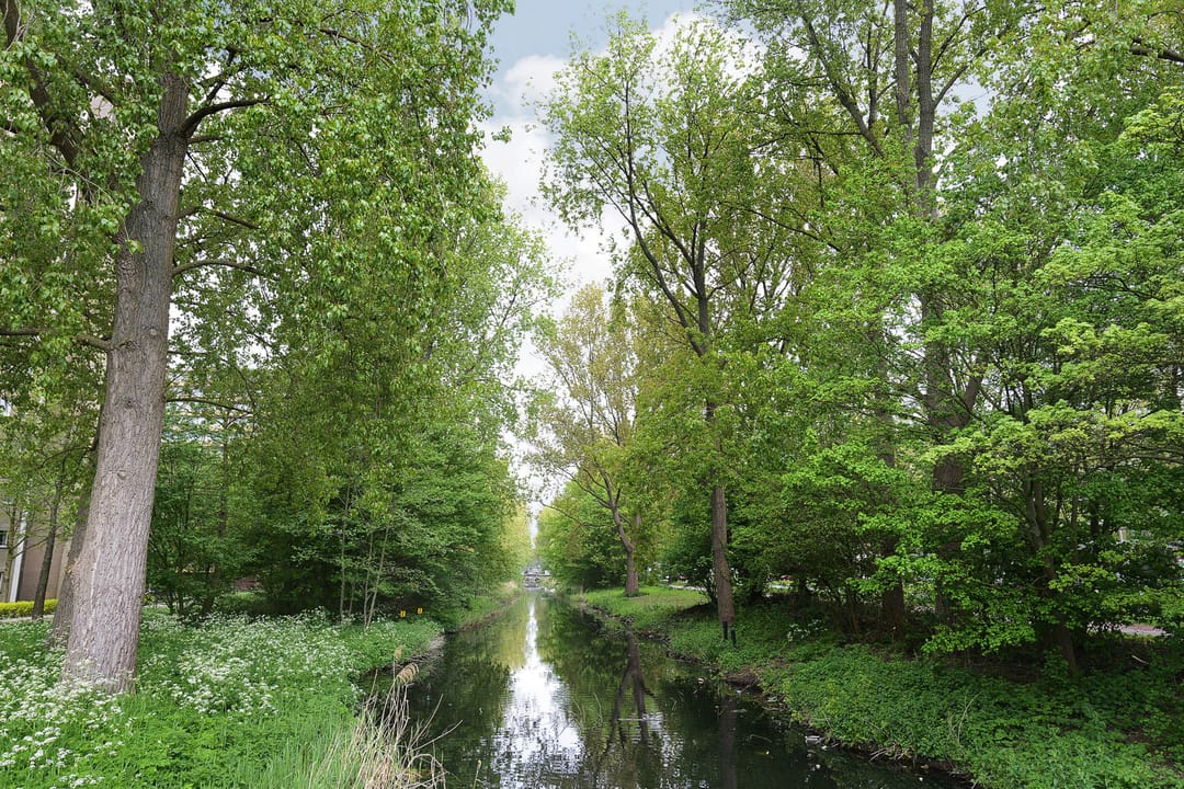 Foto 17 van Fien de la Mar Straat 24