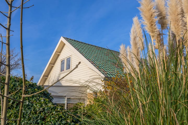 Foto 52 van Zijlroede 7