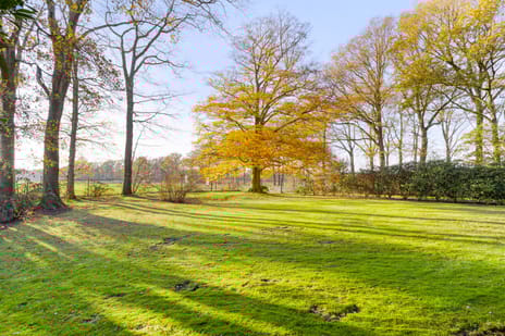 Peelkanaalweg 1 tertiary image