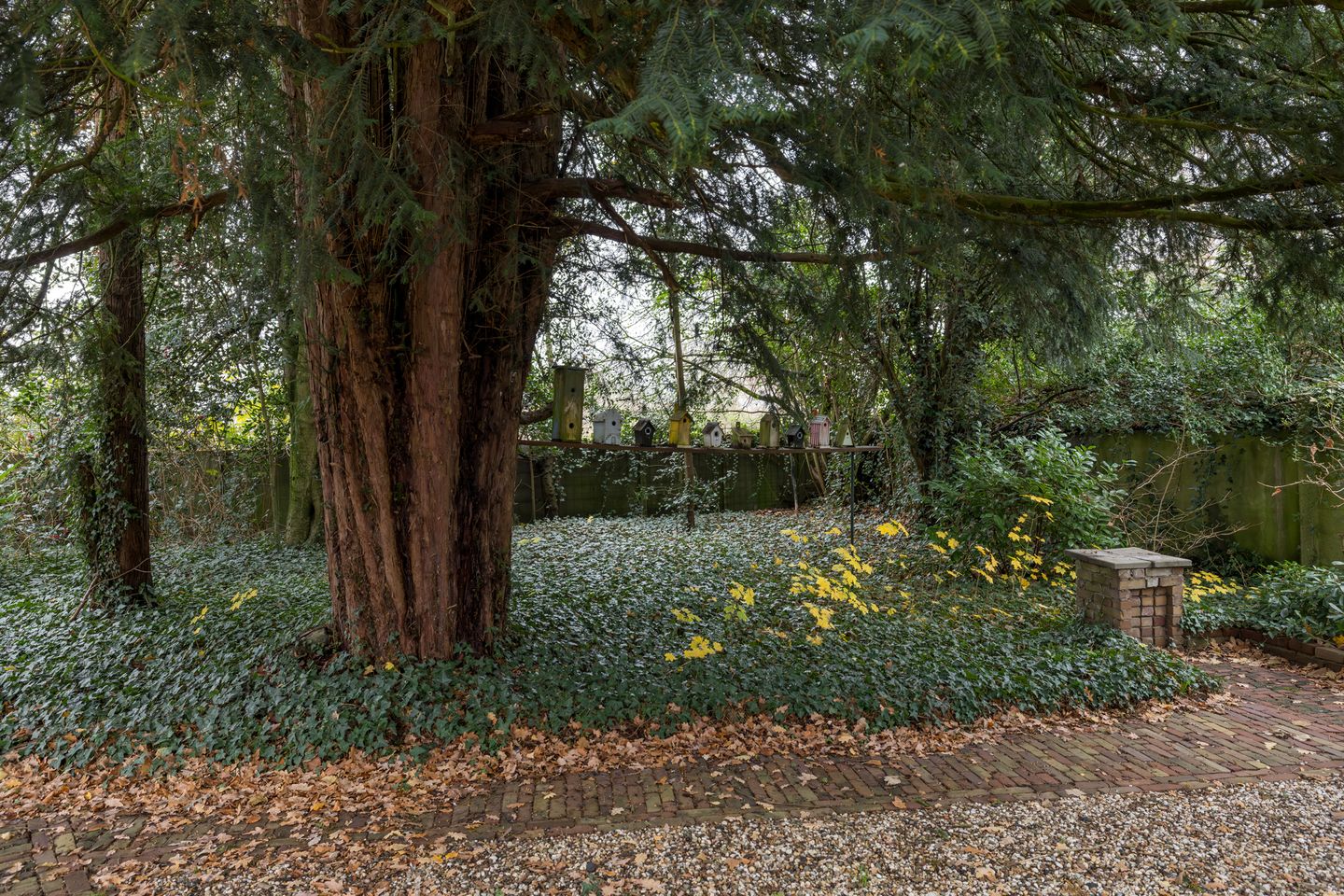 Foto 25 van Oude Goirleseweg 160