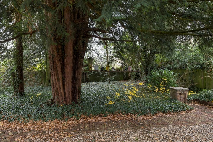 Foto 25 van Oude Goirleseweg 160