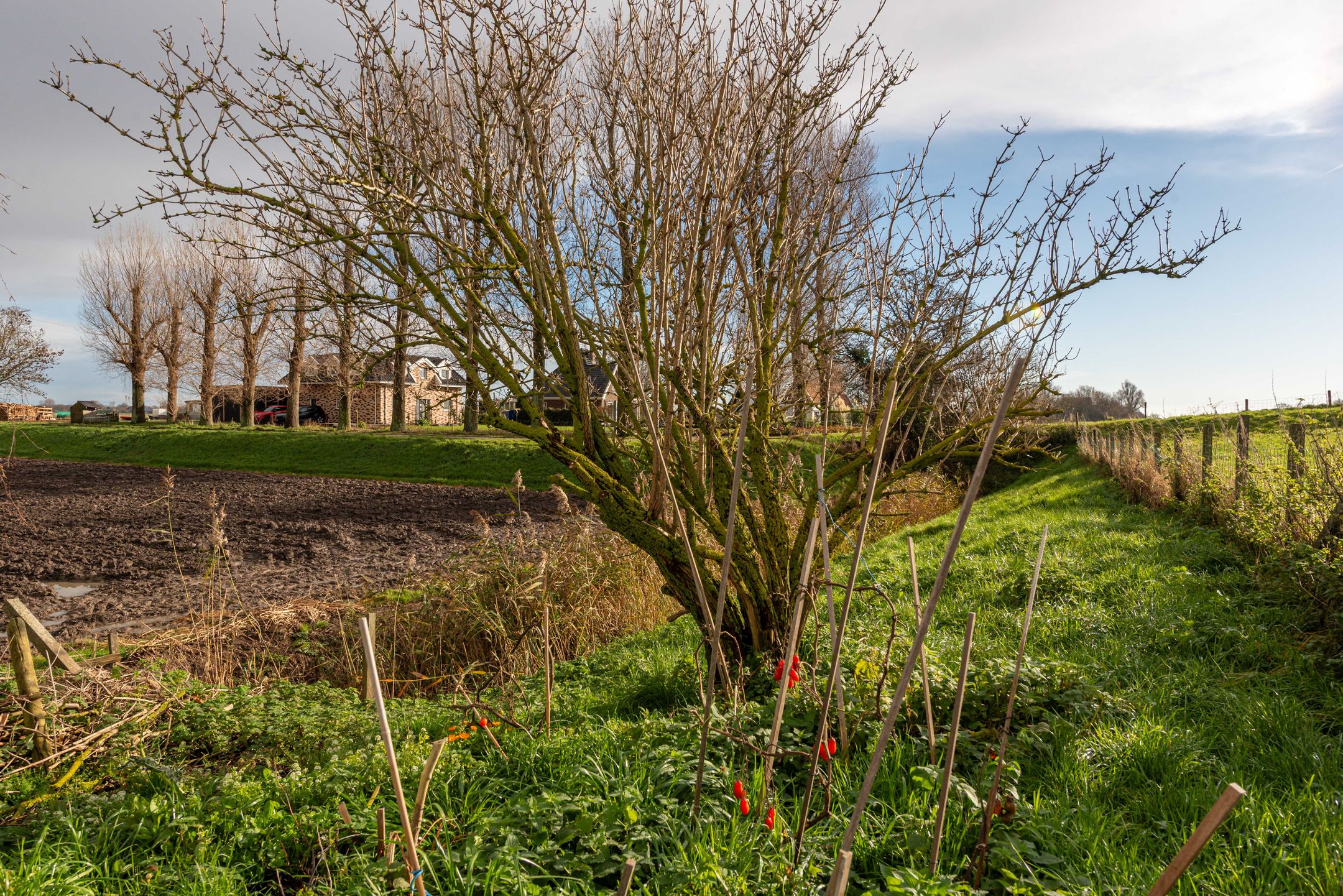 Foto 57 van Molenbuurt 1-A