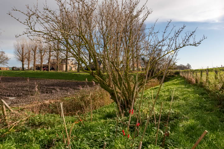 Photo 57 of Molenbuurt 1-A