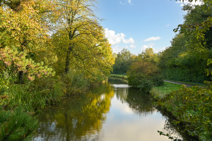 Foto 32 van Pijnboomstraat 125