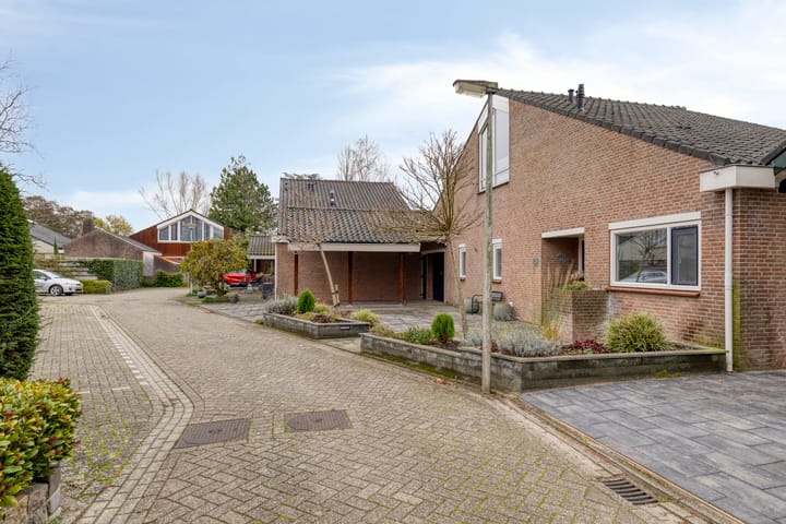 Foto 43 van Moerasvaren 31