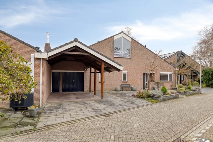 Foto 6 van Moerasvaren 31