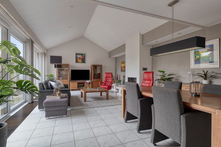 Foto 11 van Moerasvaren 31