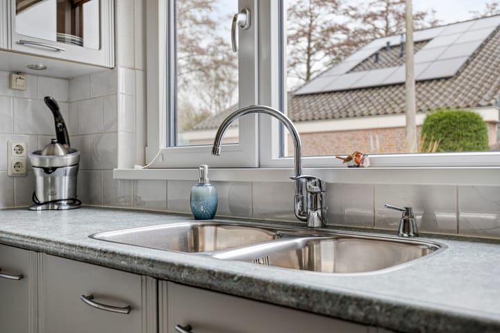 Foto 21 van Moerasvaren 31