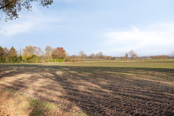 Foto 54 van Batspade 34