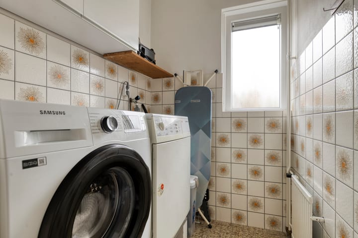 Foto 39 van Moerasvaren 31