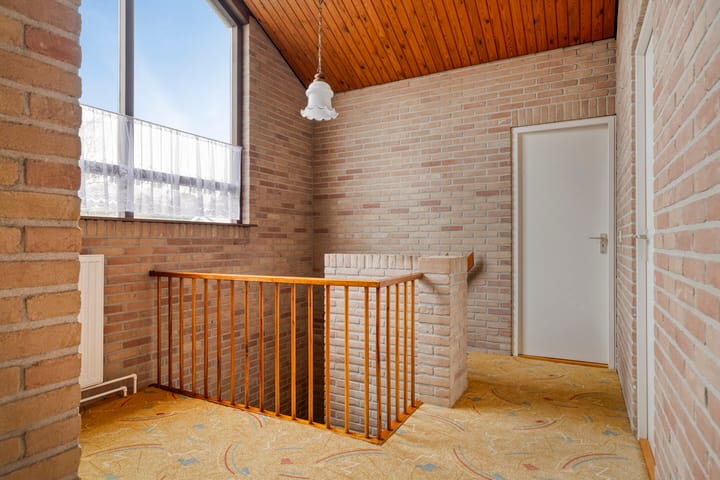 Foto 27 van Moerasvaren 31