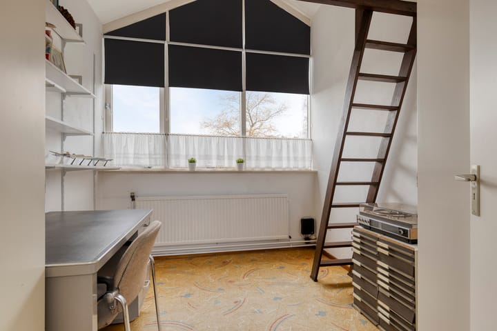 Foto 34 van Moerasvaren 31