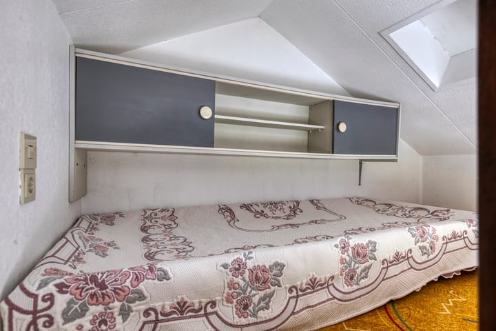 Foto 35 van Moerasvaren 31