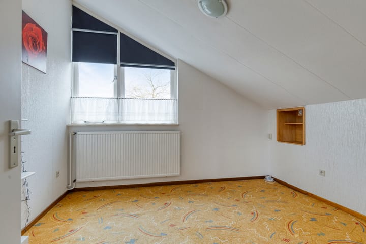 Foto 28 van Moerasvaren 31