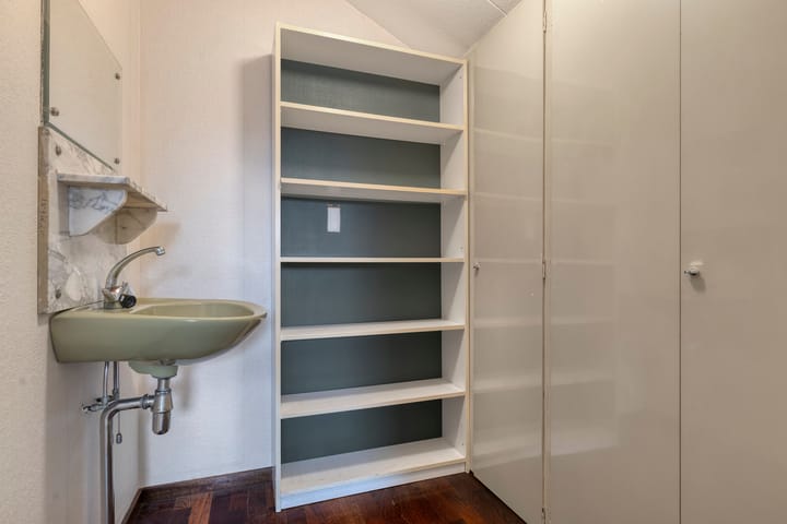 Foto 31 van Moerasvaren 31