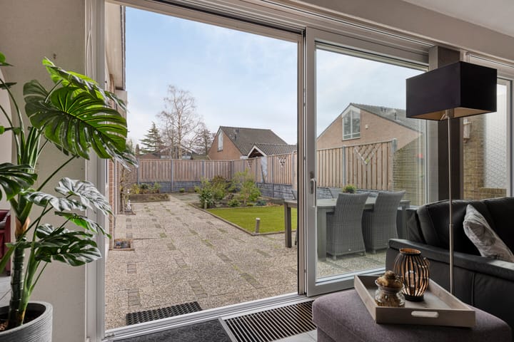 Foto 14 van Moerasvaren 31