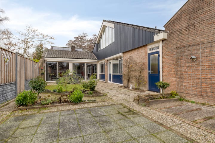 Foto 37 van Moerasvaren 31