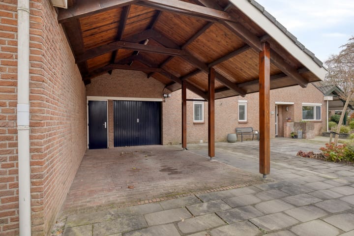 Foto 42 van Moerasvaren 31