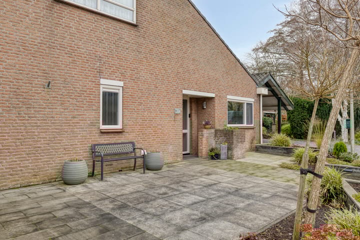 Foto 7 van Moerasvaren 31