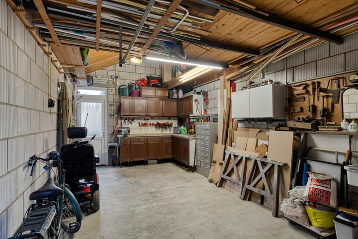 Foto 41 van Moerasvaren 31