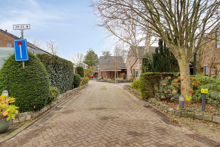 Foto 44 van Moerasvaren 31