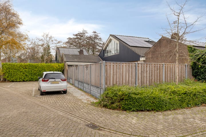 Foto 45 van Moerasvaren 31