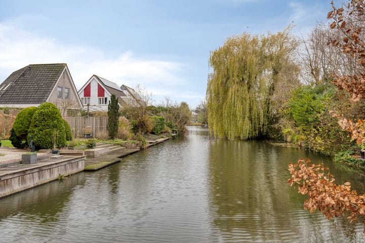 Foto 46 van Moerasvaren 31