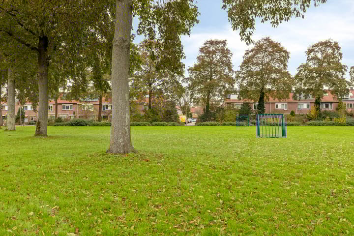 Foto 47 van Moerasvaren 31