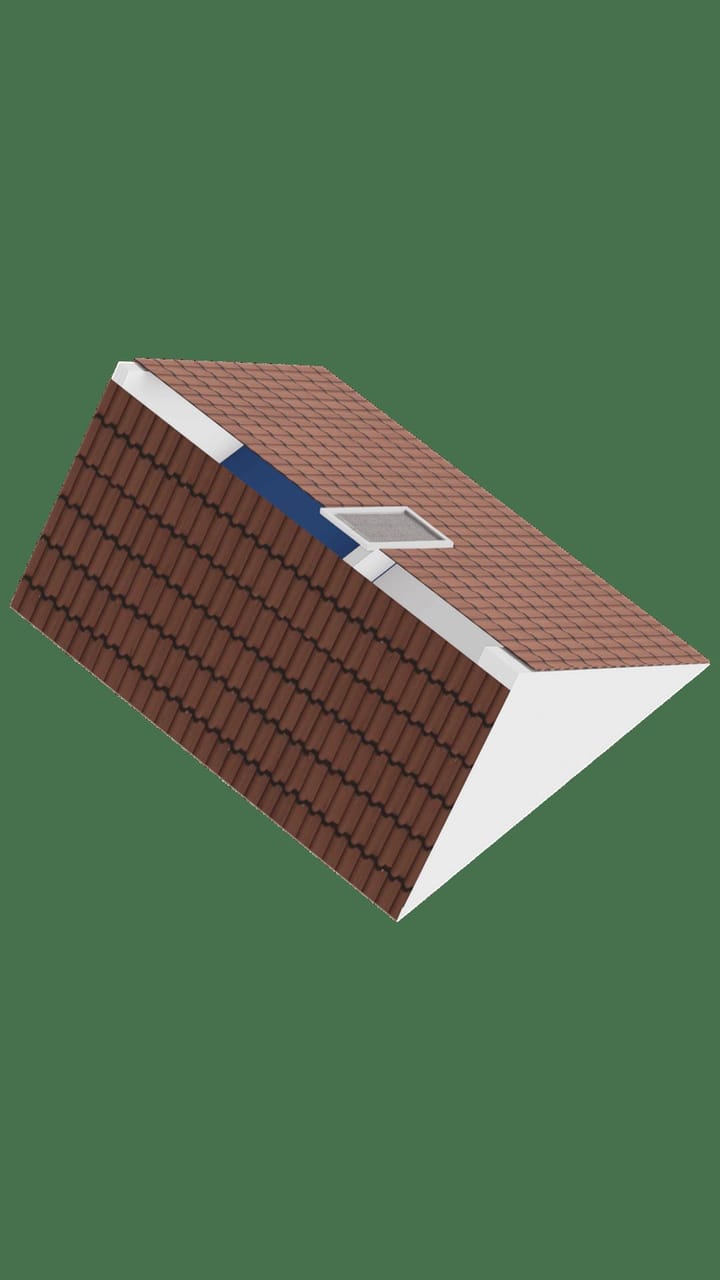 Foto 53 van Moerasvaren 31