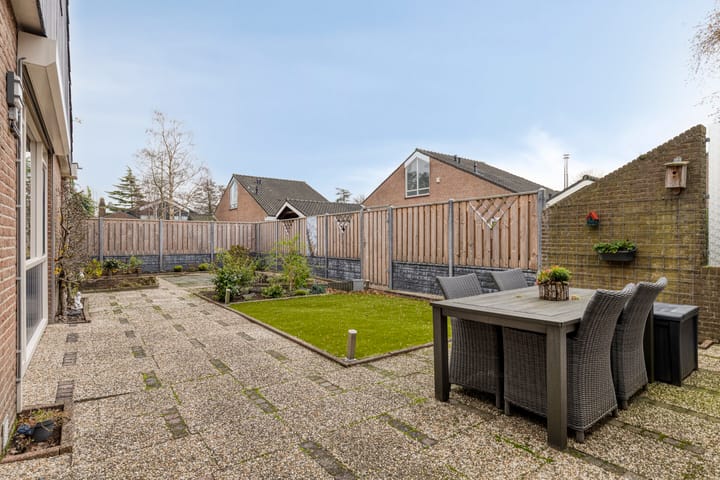 Foto 5 van Moerasvaren 31