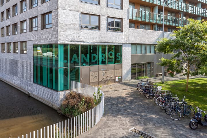 Photo 3 of Carolina MacGillavrylaan 304