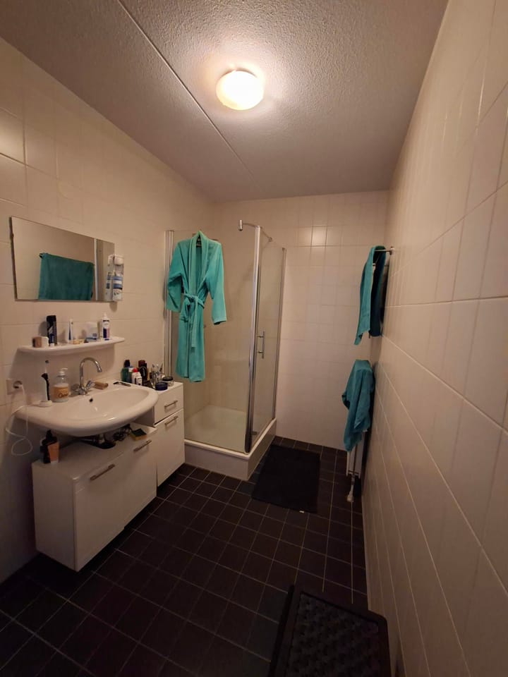 Photo 16 of Carolina MacGillavrylaan 304