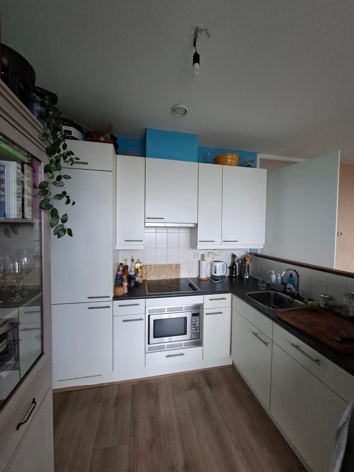 Photo 20 of Carolina MacGillavrylaan 304