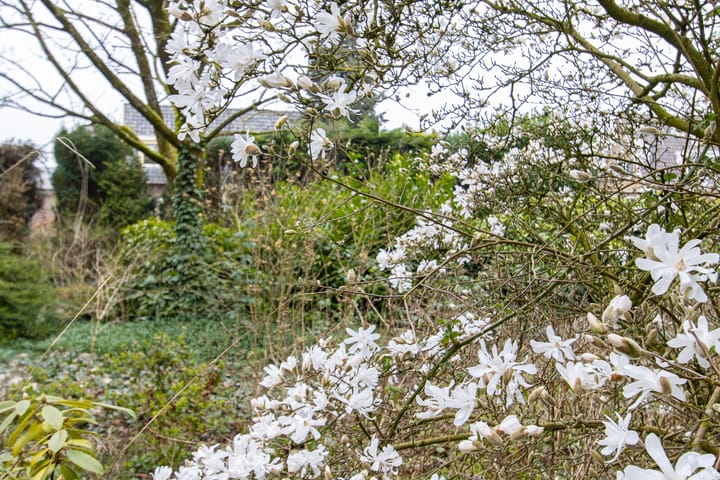 Foto 36 van Molenstraat 1