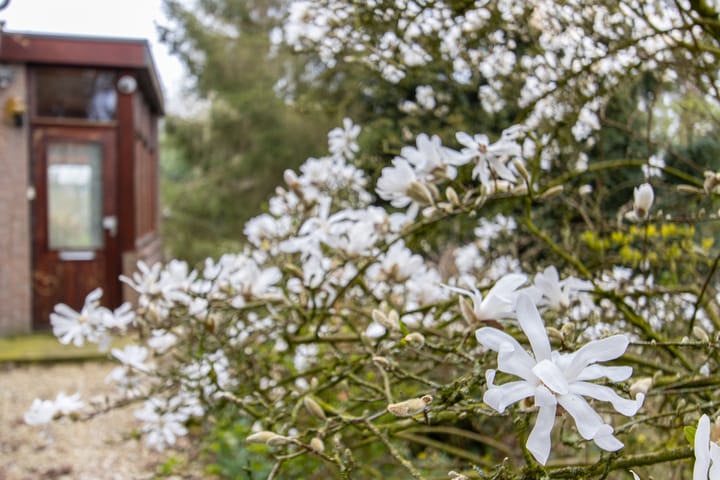 Foto 37 van Molenstraat 1